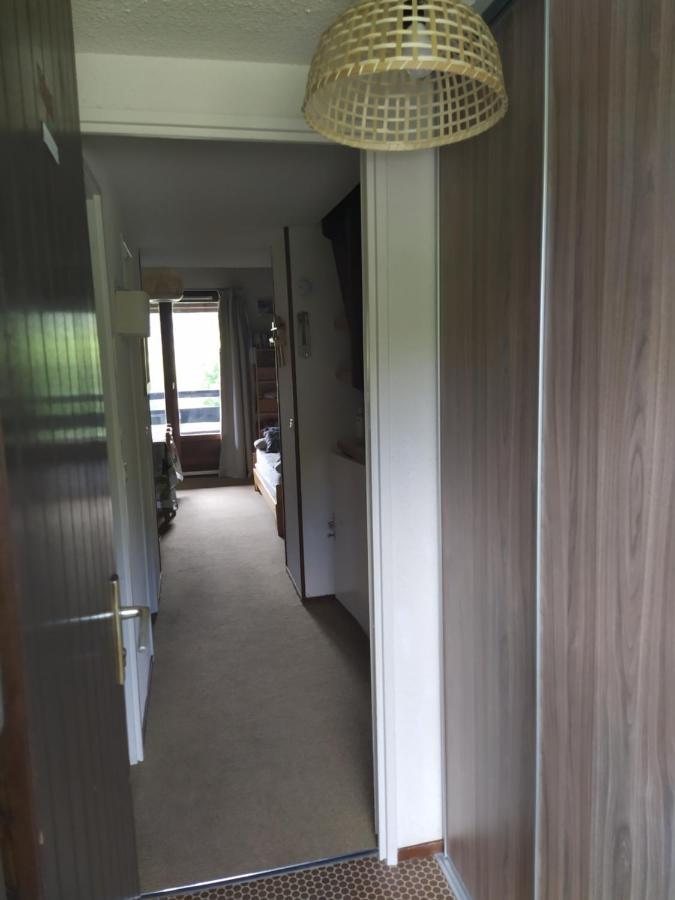 Апартаменты Duplex 3 Pieces. Pieds Des Pistes Et Balcon! Грес-ан-Веркор Экстерьер фото